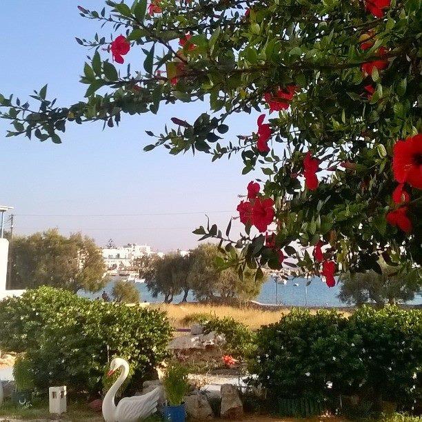 Archontiko Mary 1 Apartment Aliki  Luaran gambar
